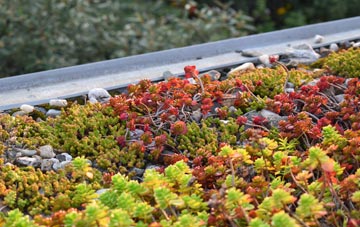 the cost of Anthill Common green roof installation