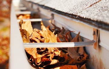 Anthill Common gutter cleaning companies