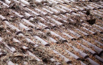 Anthill Common roof cleaning companies