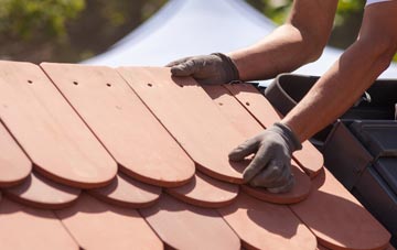 Anthill Common roof tile contractors