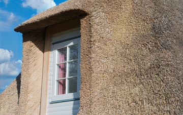 Anthill Common thatch roof disadvantages