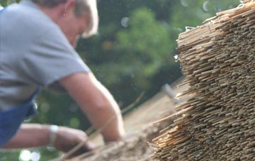 professional Anthill Common thatchers