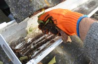 rated Anthill Common gutter cleaning companies