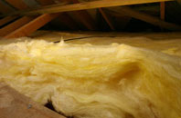 Anthill Common pitch roof insulation