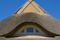 Anthill Common thatch roofing